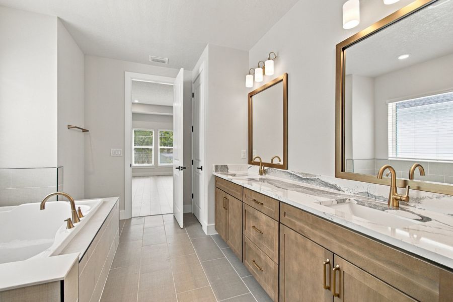 Owner's Bath