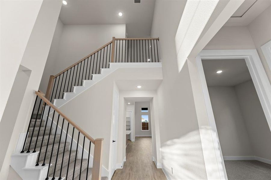 1617 Yorkie - Stairs (2)