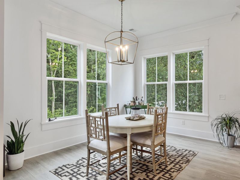 Furnished interior view inside a new home in Overlook at Copahee Sound, Awendaw (Image 47).