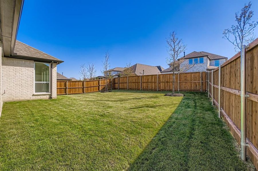 View of fenced backyard