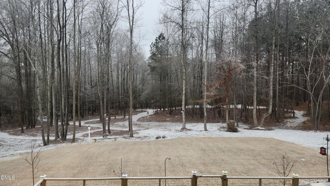 Backyard Nature trails lead to stream