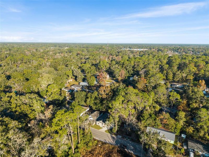 Natural landscape and outdoor views near  in Gainesville (Image 27).