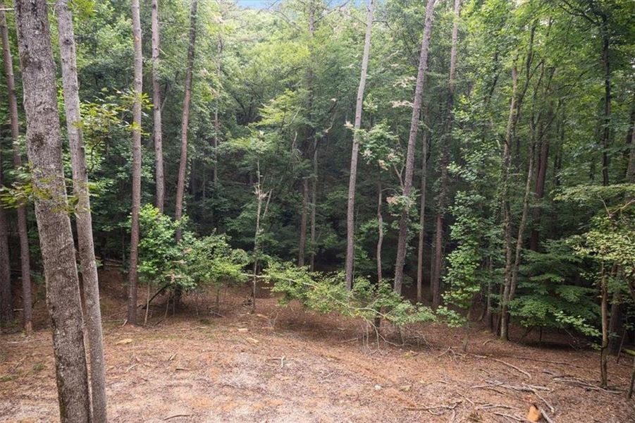 Natural landscape and outdoor views near  in Ellijay (Image 49).