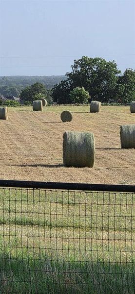Horse grade hay bales from first cutting of the year. 44 bales with estimated sales price of $4 400. Depending on the weather you could get another cutting in the fall. Horse grade hay bales from first cutting of the year. 44 bales with estimated sales price of $4 400. Depending on the weather you could get another cutting in the fall.