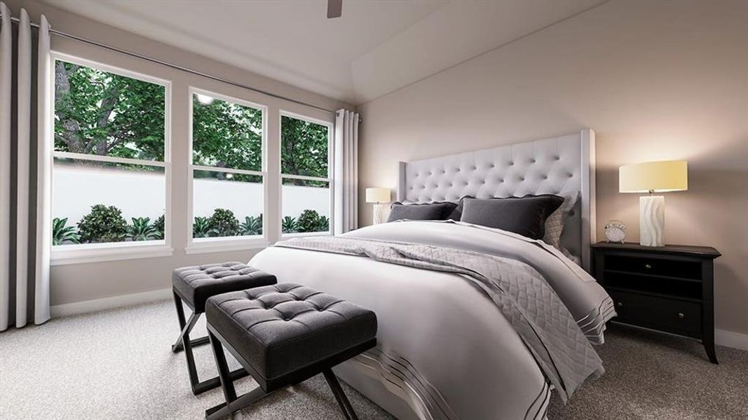 Discovery Collection at The Meadows