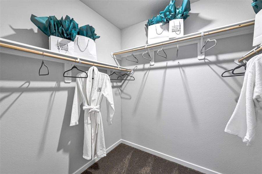 REPRESENTATIVE PHOTOS