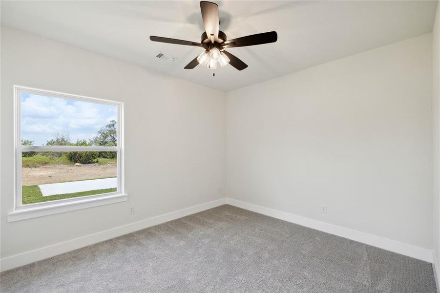 Unfurnished room with carpet flooring, a healthy amount of sunlight, and ceiling fan