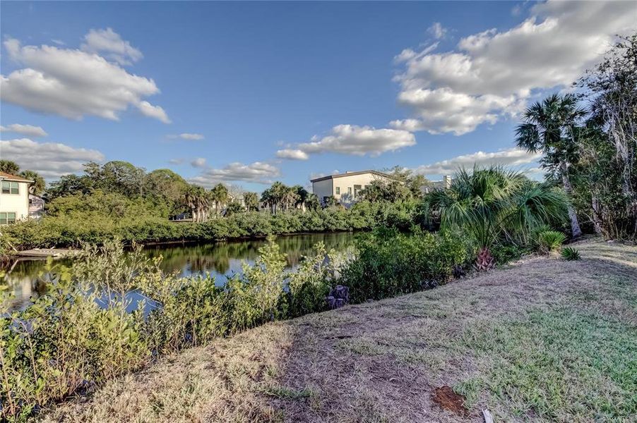 Natural landscape and outdoor views near  in New Port Richey (Image 68).