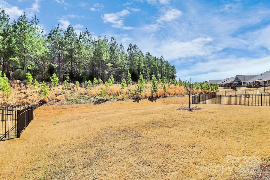 Community amenities in , Mint Hill (Image 43).