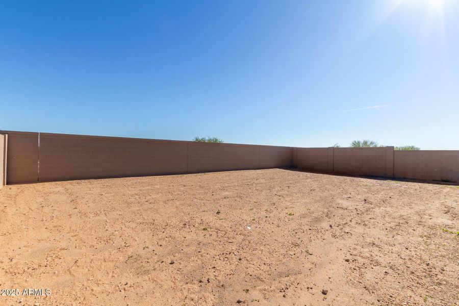 33 - Wollemi 43513 33 - Wollemi 43513