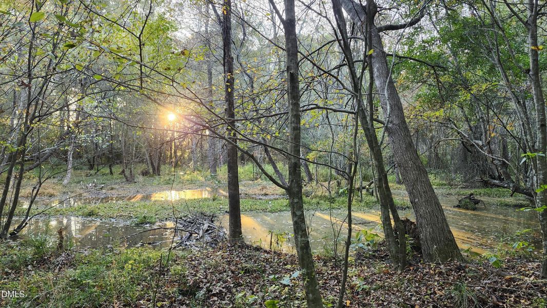 Water view from the nature trail!