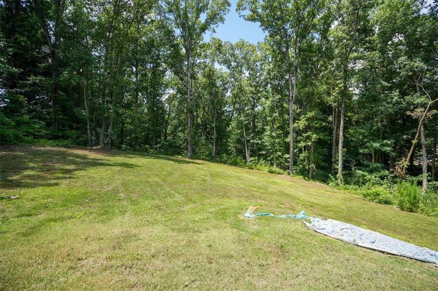 Natural landscape and outdoor views near  in Acworth (Image 88).
