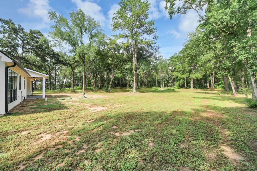 Natural landscape and outdoor views near  in Plantersville (Image 19).