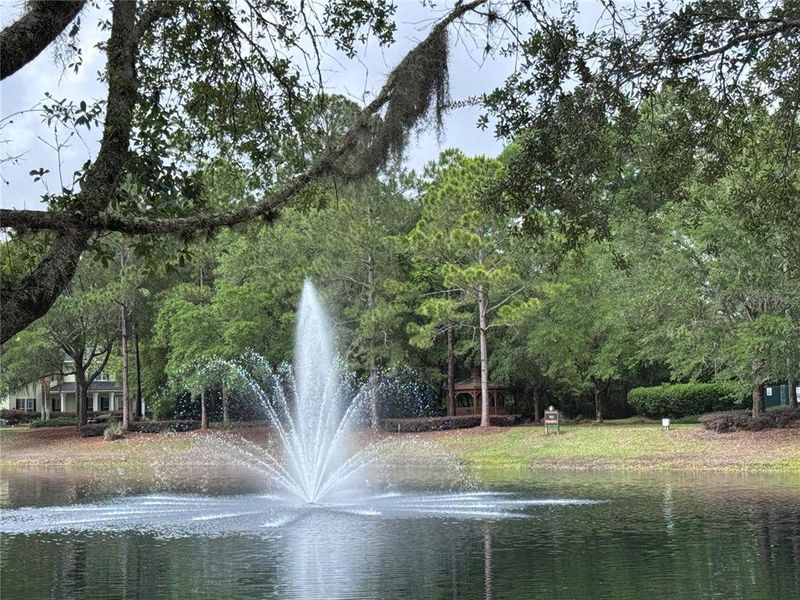Natural landscape and outdoor views near  in Fernandina Beach (Image 57).