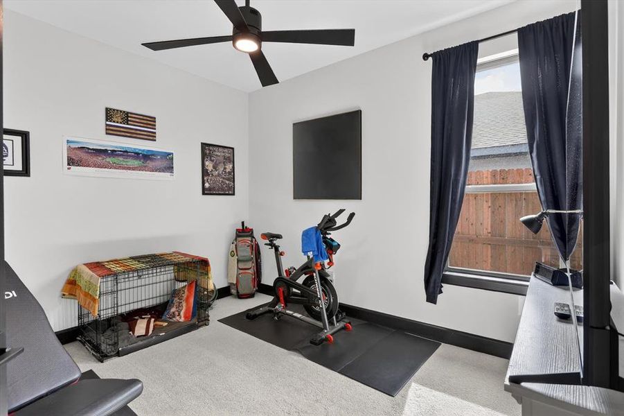 Bright room featuring a ceiling fan with integrated lighting, a large window with dark trim, and light-colored carpeting