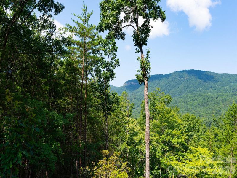 Natural landscape and outdoor views near  in Mill Spring (Image 11).