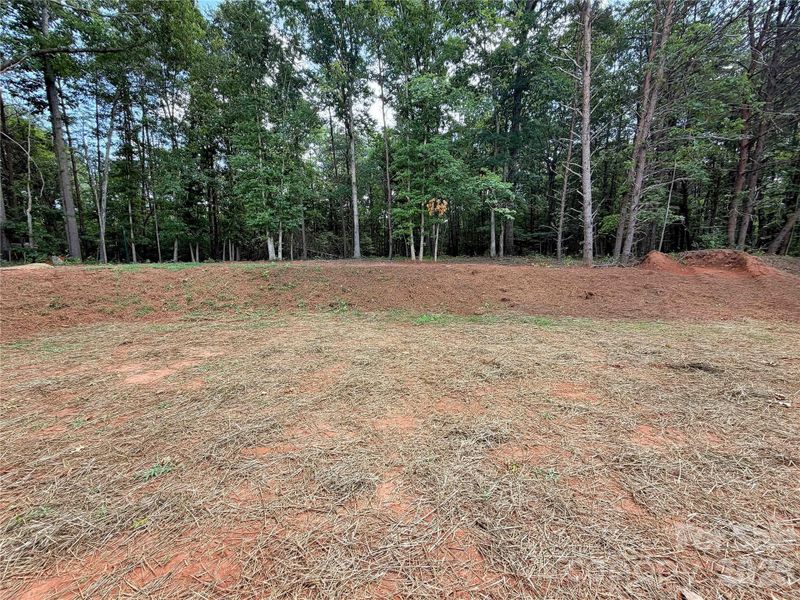 Site preparation for new homesites in , Forest City (Image 22).