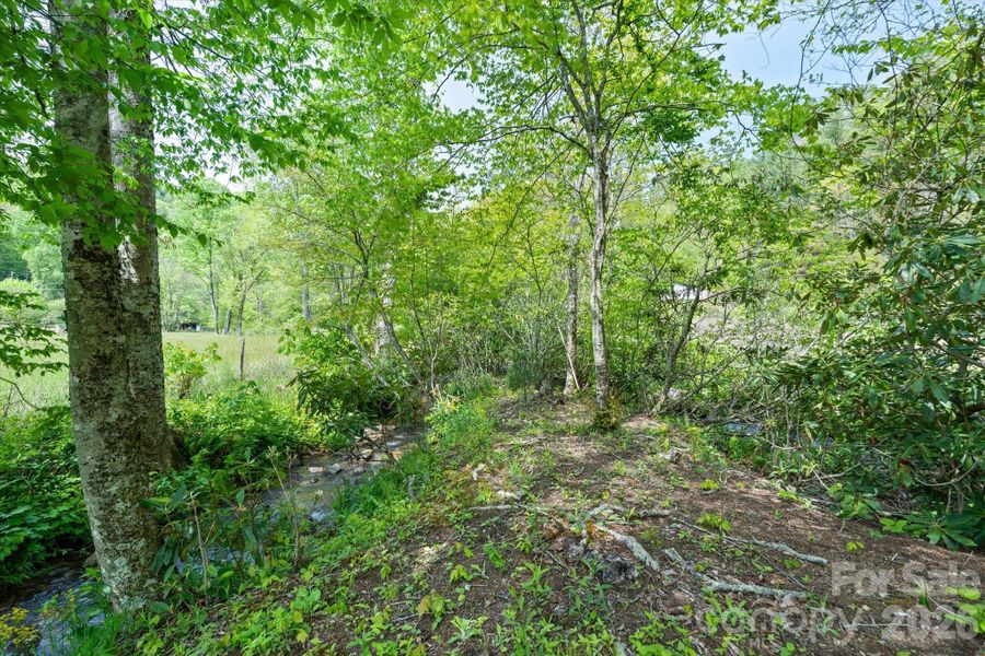 With a little clearing this is a tranquil area where the 2 creeks converge.