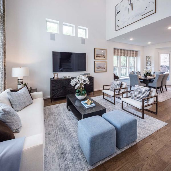 Representative Family Room - some options shown