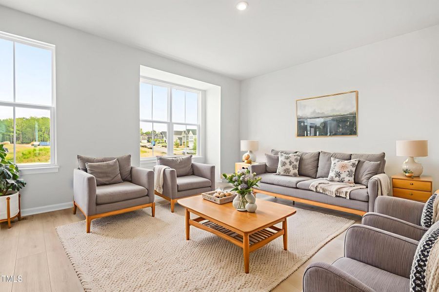 dsc03938 - living room - scandinavian - dsc03938 - living room - scandinavian -