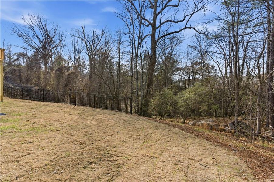 Natural landscape and outdoor views near The Reserve at Chapel Hill Phase II in Douglasville (Image 26).
