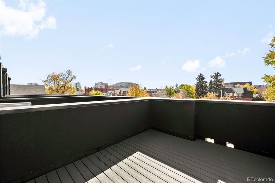 Expansive city and treetop views surround the rooftop deck, an ideal setting for relaxing or entertaining.