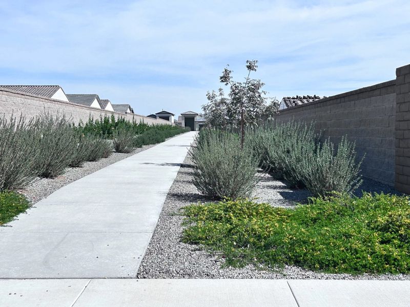 Walking path behind lot