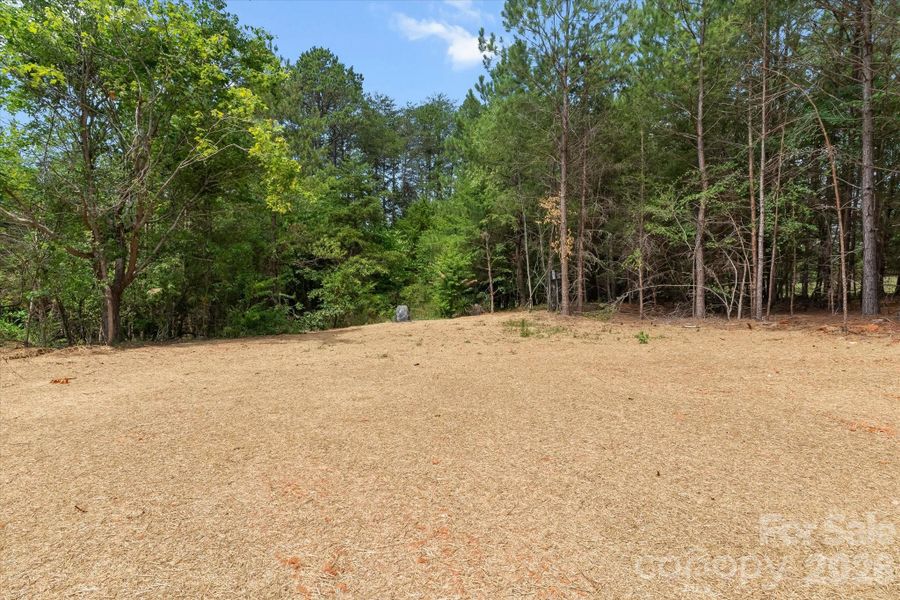 Natural landscape and outdoor views near  in Troutman (Image 31).