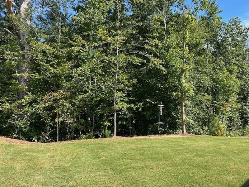 Natural landscape and outdoor views near Poplar Place in Dallas (Image 38).