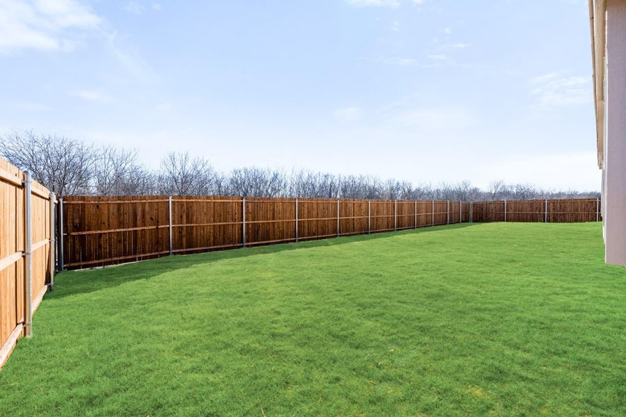 Large flat backyard with green grass lawn enclosed by a tall wooden privacy fence