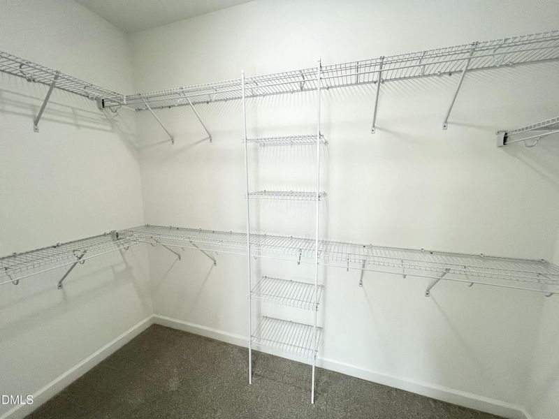 IMG_5993 2 IMG_5993 2