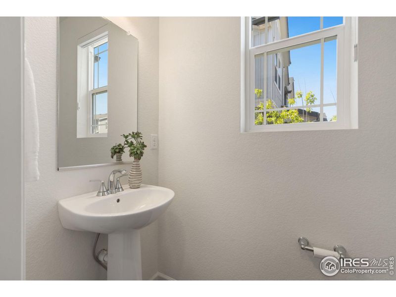 Pedestal Sink in Powder Room