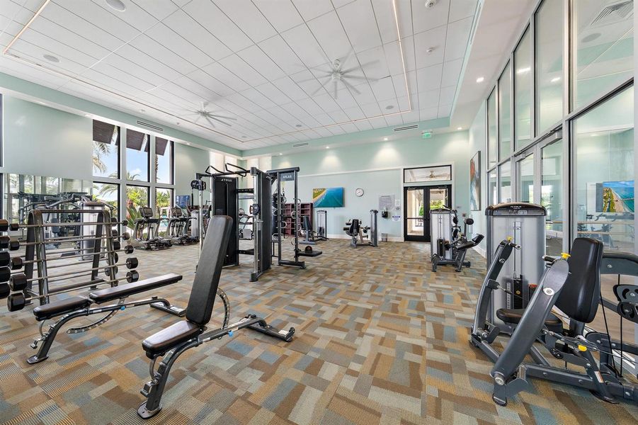 Gym