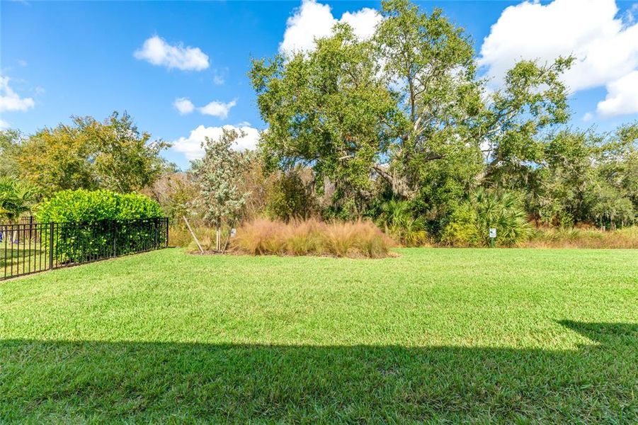 Natural landscape and outdoor views near in Sarasota (Image 45). Natural landscape and outdoor views near in Sarasota (Image 45).