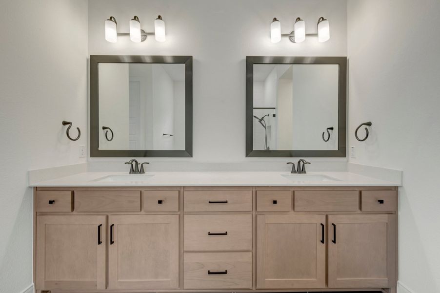 Owner's Bath