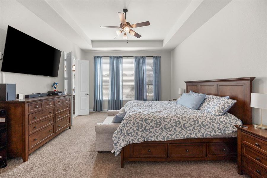 Carpeted bedroom featuring ceiling fan and a tray ceiling Carpeted bedroom featuring ceiling fan and a tray ceiling