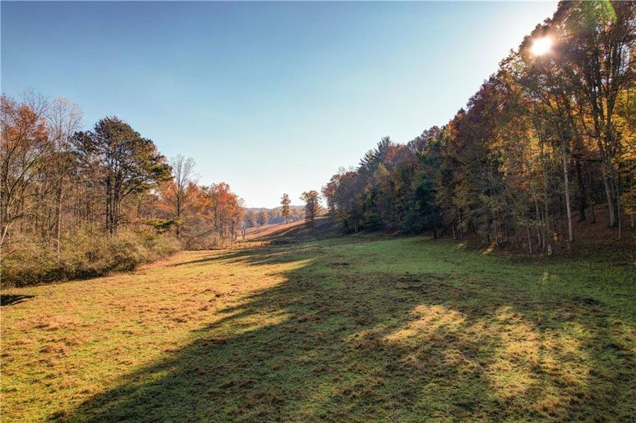 Natural landscape and outdoor views near in Ellijay (Image 130). Natural landscape and outdoor views near in Ellijay (Image 130).