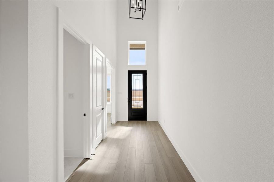 5_1200 Flock- Entry-1