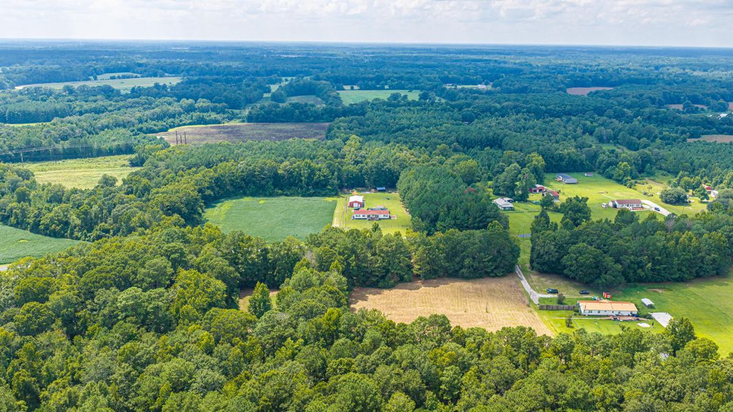 Natural landscape and outdoor views near  in Holly Hill (Image 64).