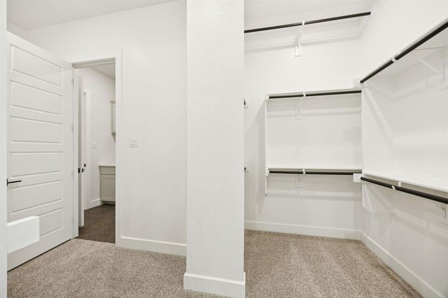 19-9343Spindletree_019 19-9343Spindletree_019