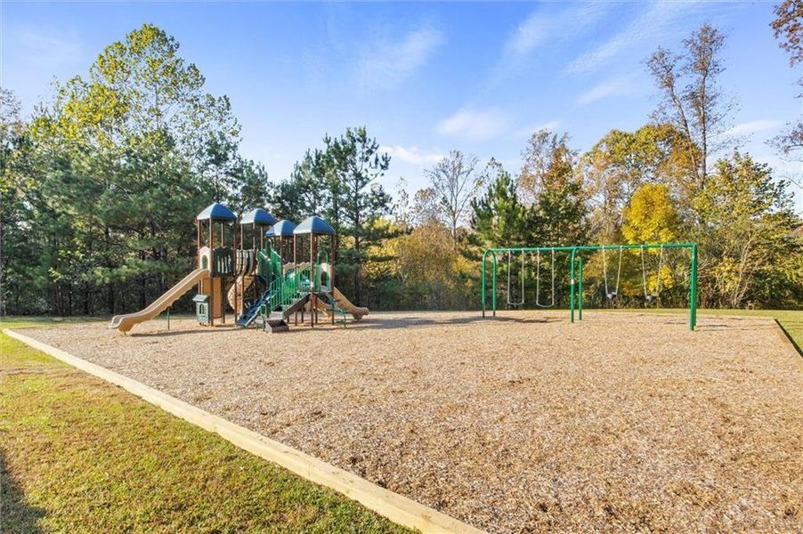 Community amenities in River Rock, Ball Ground (Image 24).