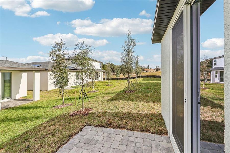 Exterior details and patio area of a home in Wynnstone - Classic Series, Haines City (Image 4).