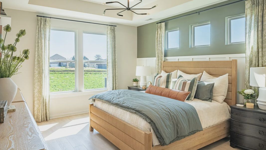 Primary Bedroom lined with windows, hard-surface flooring, and painted accent wall