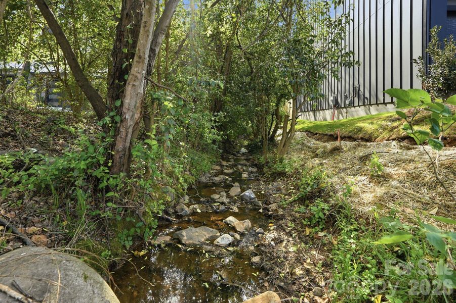 Natural landscape and outdoor views near  in Charlotte (Image 31).