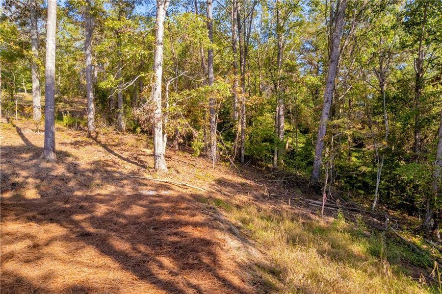 Natural landscape and outdoor views near  in Ball Ground (Image 40).