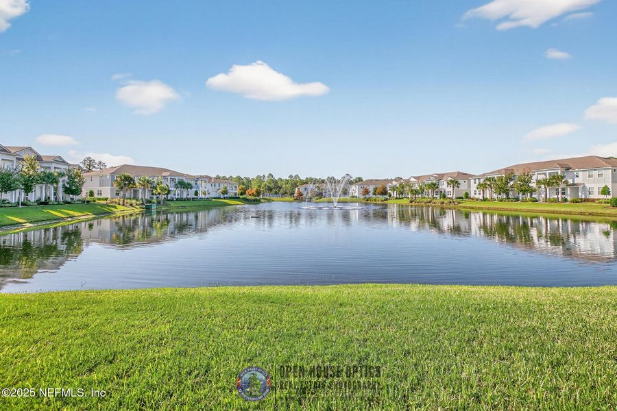 Natural landscape and outdoor views near  in Jacksonville (Image 36).