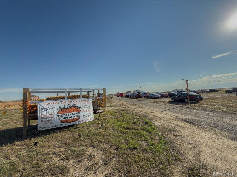 Close by pumpkin patch Close by pumpkin patch