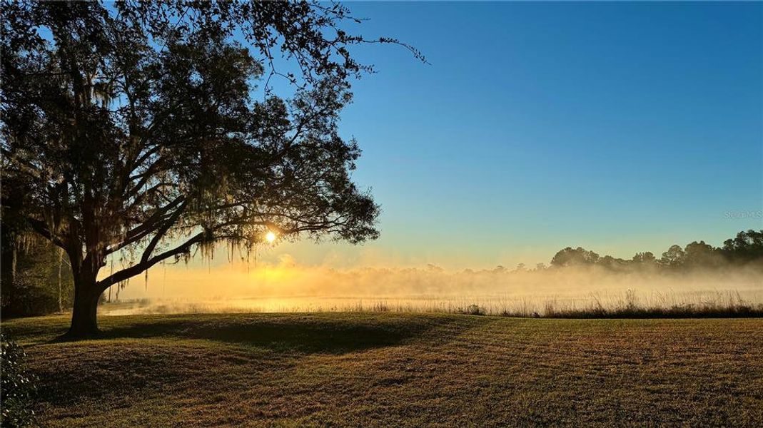 Natural landscape and outdoor views near  in Indian Lake Estates (Image 42).