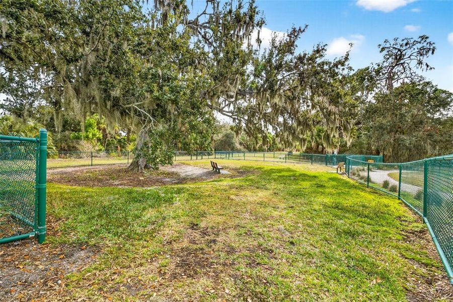 Natural landscape and outdoor views near Summerwoods in Parrish (Image 42).