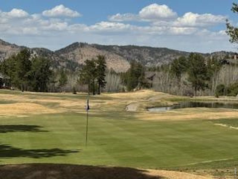 Natural landscape and outdoor views near  in Red Feather Lakes (Image 33).